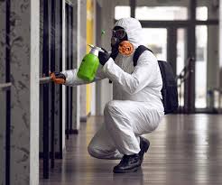 Best Environmental Consulting for Mold Prevention  in Crest, CA